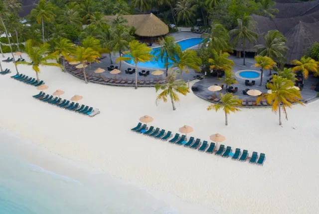 12 Nights, Three Paradises: Journey from Tree House to Tropical Shores